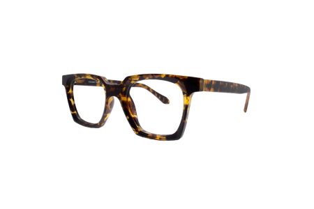 ERICE - C2 Shiny Tortoiseshell