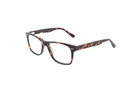 VIVALDO - C2 Shiny Tortoiseshell